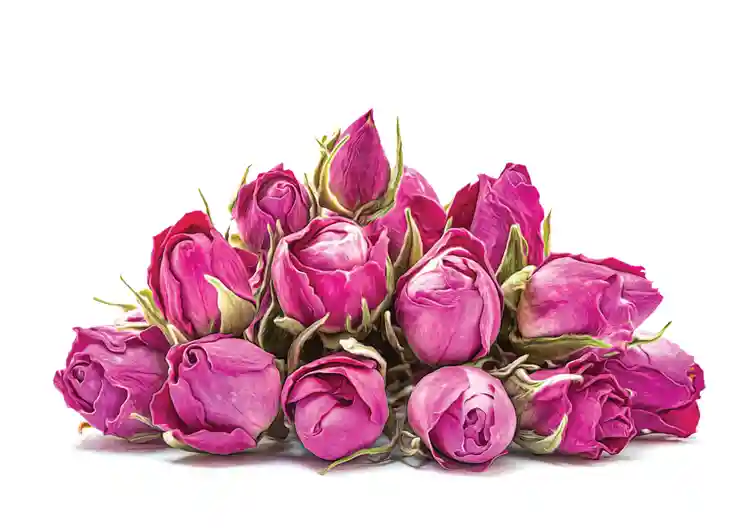 خواص غنچه گل محمدی بهرنگ