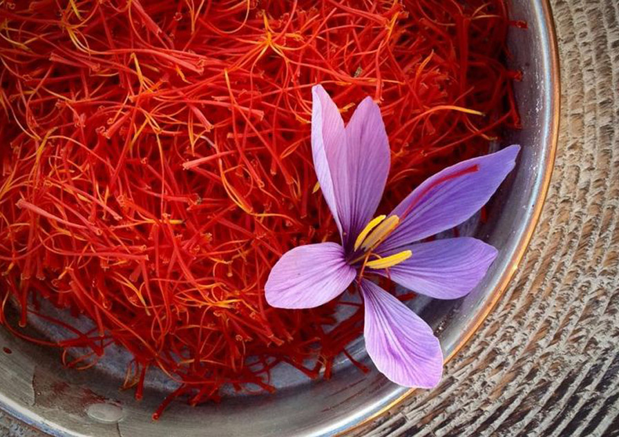 بررسی خطرات مصرف زعفران به منظور سقط جنین