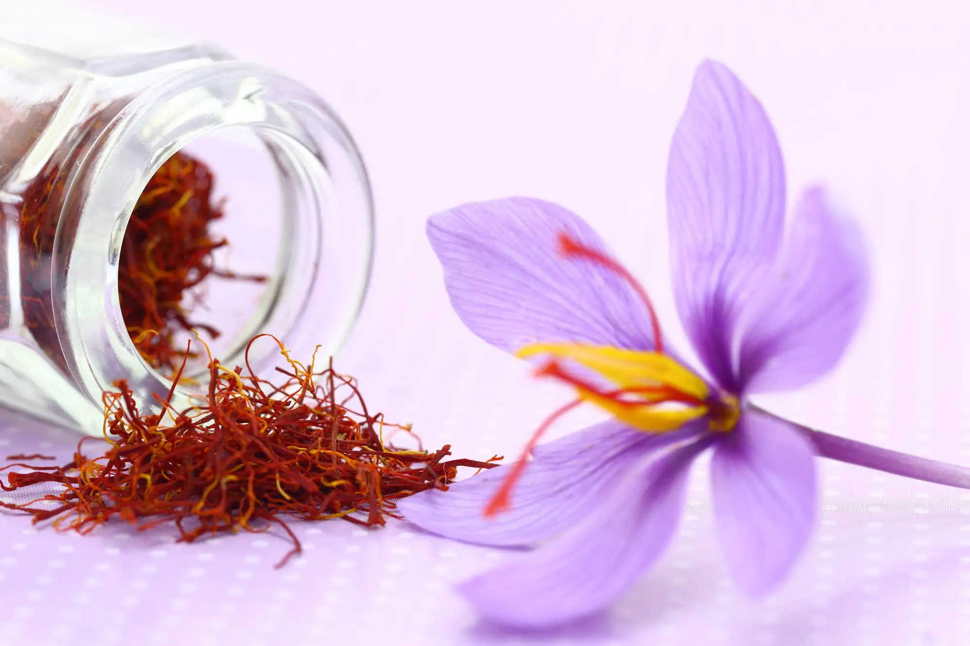 کاور مقاله فواید زعفران